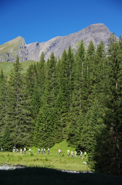 24h Hike Mammut_Ochsner 'Meiringen_Grosse Scheidegg 1962m' 18_08_2012 (95).JPG